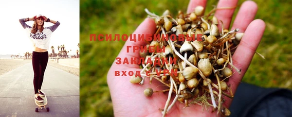 Альфа ПВП Балабаново